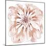 Blush Peony-Beverly Dyer-Mounted Art Print