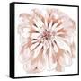 Blush Peony-Beverly Dyer-Framed Stretched Canvas