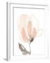 Blush Petals II-Jennifer Goldberger-Framed Art Print