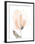 Blush Petals II-Jennifer Goldberger-Framed Art Print