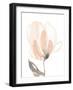 Blush Petals II-Jennifer Goldberger-Framed Art Print