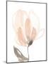 Blush Petals II-Jennifer Goldberger-Mounted Art Print