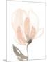 Blush Petals II-Jennifer Goldberger-Mounted Art Print