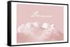 Blush Pink Dream-Urban Epiphany-Framed Stretched Canvas