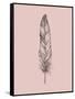 Blush Pink Feather III-Jensen Adamsen-Framed Stretched Canvas