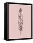 Blush Pink Feather III-Jensen Adamsen-Framed Stretched Canvas