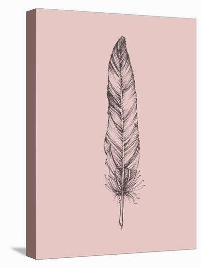 Blush Pink Feather III-Jensen Adamsen-Stretched Canvas