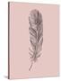 Blush Pink Feather-Jensen Adamsen-Stretched Canvas