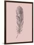 Blush Pink Feather-Jensen Adamsen-Framed Art Print