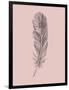 Blush Pink Feather-Jensen Adamsen-Framed Art Print