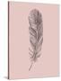 Blush Pink Feather-Jensen Adamsen-Stretched Canvas