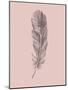 Blush Pink Feather-Jensen Adamsen-Mounted Art Print