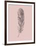 Blush Pink Feather-Jensen Adamsen-Framed Art Print