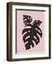 Blush Pink Monstera Leaves-Jasmine Woods-Framed Art Print