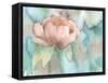 Blush Rose-Beverly Dyer-Framed Stretched Canvas