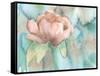 Blush Rose-Beverly Dyer-Framed Stretched Canvas