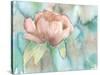 Blush Rose-Beverly Dyer-Stretched Canvas