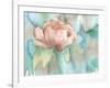 Blush Rose-Beverly Dyer-Framed Art Print