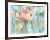 Blush Rose-Beverly Dyer-Framed Art Print