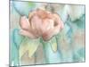 Blush Rose-Beverly Dyer-Mounted Art Print