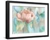 Blush Rose-Beverly Dyer-Framed Art Print