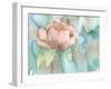 Blush Rose-Beverly Dyer-Framed Art Print