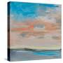 Blush Sky-Linda Stelling-Stretched Canvas