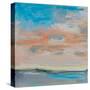Blush Sky-Linda Stelling-Stretched Canvas