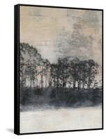 Blush Treeline II-Jennifer Goldberger-Framed Stretched Canvas