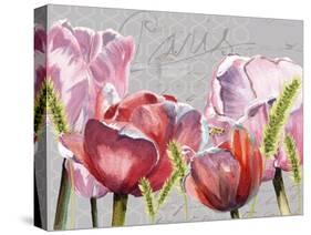 Blush Tulips I-Redstreake-Stretched Canvas