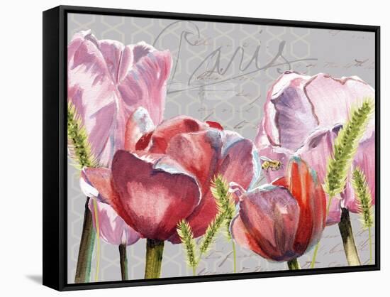 Blush Tulips I-Redstreake-Framed Stretched Canvas