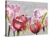 Blush Tulips I-Redstreake-Stretched Canvas