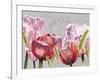 Blush Tulips I-Redstreake-Framed Art Print