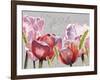 Blush Tulips I-Redstreake-Framed Art Print