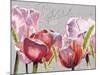 Blush Tulips I-Redstreake-Mounted Art Print
