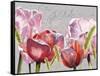 Blush Tulips I-Redstreake-Framed Stretched Canvas