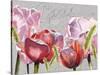 Blush Tulips I-Redstreake-Stretched Canvas