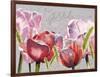 Blush Tulips I-Redstreake-Framed Art Print