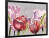 Blush Tulips I-Redstreake-Framed Art Print