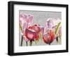 Blush Tulips I-Redstreake-Framed Art Print