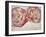 Blush Twice-Kari Taylor-Framed Giclee Print