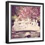 Blush-Melanie Alexandra Price-Framed Photographic Print