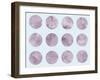 Blush-Summer Tali Hilty-Framed Giclee Print