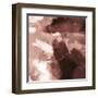 Blushed Flow-Paul Duncan-Framed Giclee Print