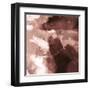 Blushed Flow-Paul Duncan-Framed Giclee Print