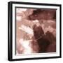 Blushed Flow-Paul Duncan-Framed Giclee Print