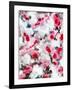 Blushing blooms 1-Li Bo-Framed Giclee Print