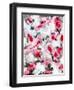 Blushing blooms 1-Li Bo-Framed Giclee Print