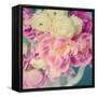 Blushing Blooms II-Sarah Gardner-Framed Stretched Canvas