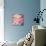 Blushing Blooms II-Sarah Gardner-Photo displayed on a wall